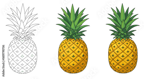 Pineapple drawing and colored versions showing the process of coloring.
