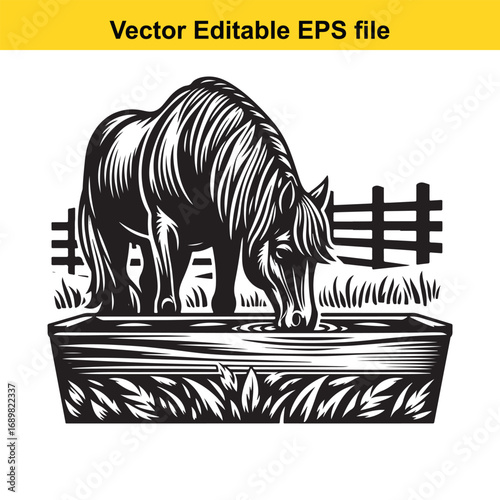 Horse drinking water from a trough in a field isolated on white background