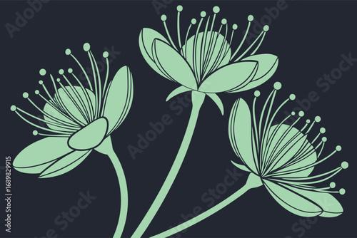 Three outlined turquoise floral blossoms stand elegantly against a dark background, displaying serene botanical simplicity