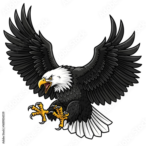 american bald eagle