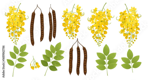 Vibrant Golden Shower tree elements, featuring bright yellow flowers, green leaves, and brown seed pods, tropical botanical collection