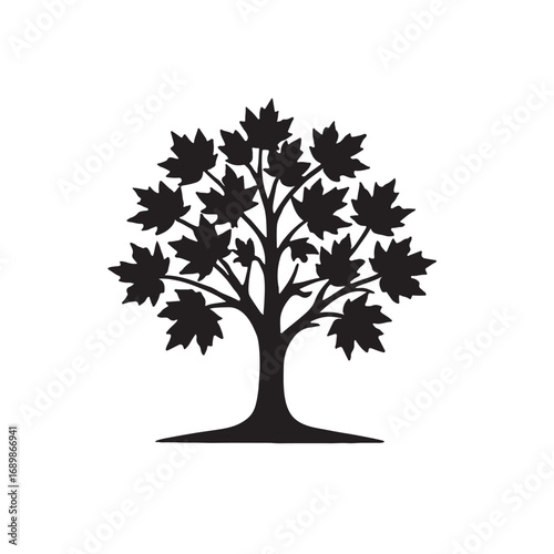 Maple tree broad leaves silhouette vector illustration