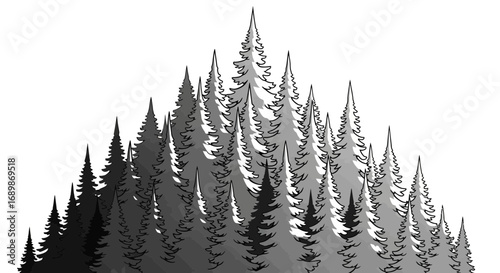 Enigmatic conifer forest scene with monochromatic gradient rendering style