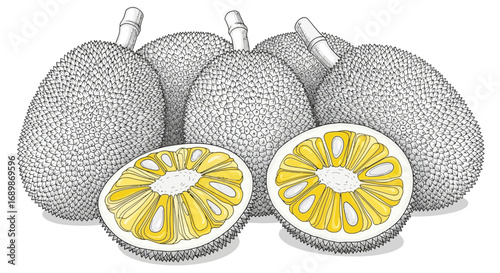 Exotic jackfruit arrangement with yellow flesh segments and detailed texture