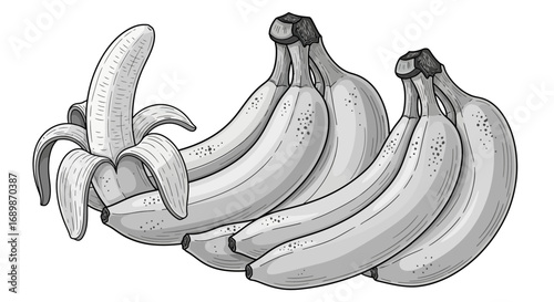 Monochromatic depiction of bananas, some peeled and some still whole