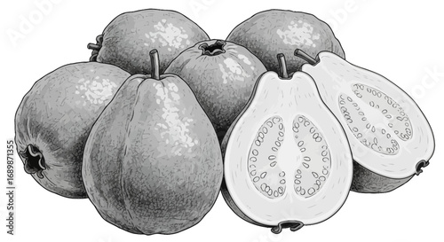 Monochrome Illustration of a Group of Guavas with one sliced in Half