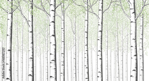 Serene birch forest illustration with a touch of abstract ethereal charm