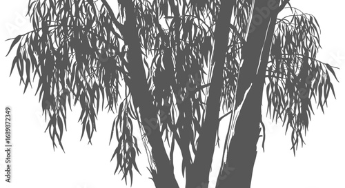Silhouetted tree branches with slender leaves evoke a tranquil mood