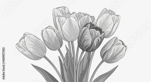 Elegant Monochrome Tulip Bouquet: A Floral Illustration of Simplicity