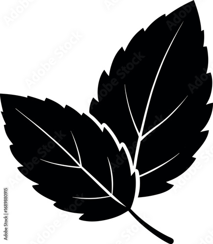 Mint Leaf Silhouette Illustration with Vein Pattern