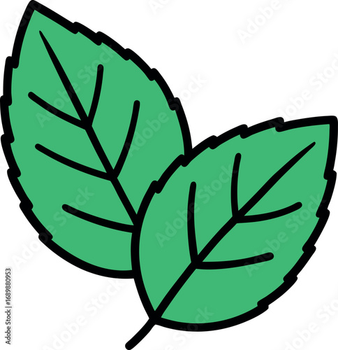 Mint Leaf Green Vector Illustration with Vein Detail