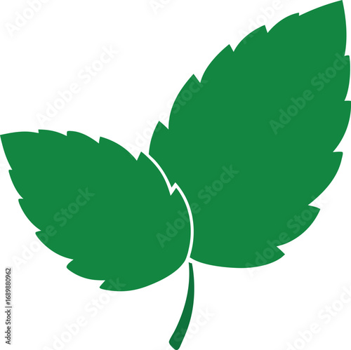 Mint Leaf Green Icon Illustration for Natural Product Design