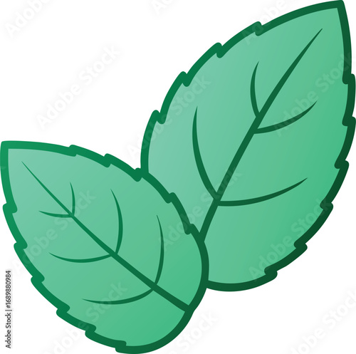 Mint Leaf Green Botanical Illustration with Vein Detail