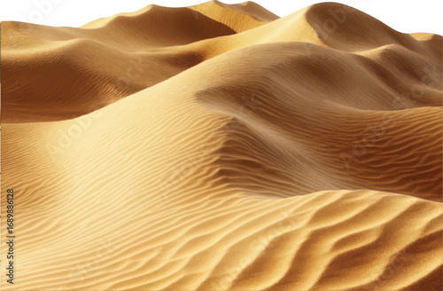 Golden Sand Dunes Under Sunlight with black