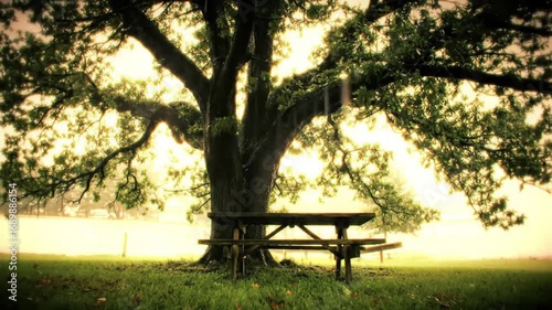 A wooden picnic table under a large shady tree in a peaceful natural park with soft sunlight filtering through the leaves.