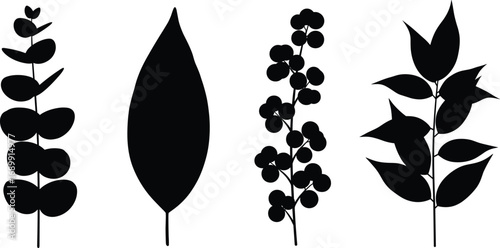Botanical leaves and plant silhouette vector set, black foliage illustration, minimalist greenery elements for design, craft, nature decor, and digital art