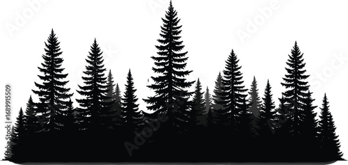 Silhouette of pine trees, evergreen forest landscape, black and white woodland scene, coniferous tree illustration, natural outdoor vector design for backgrounds