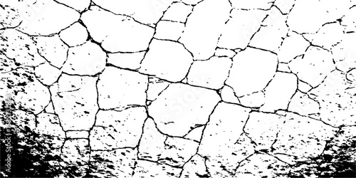 An arid, textured desert ground with a natural, cracked brown surface