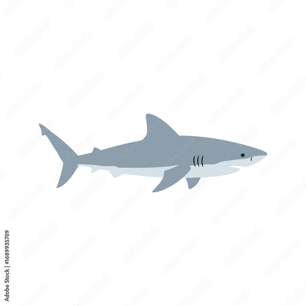 Fototapeta premium Flat vector illustration of a shark, simple minimal cartoon design in grey color, isolated, strong ocean predator style