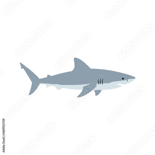 Flat vector illustration of a shark, simple minimal cartoon design in grey color, isolated, strong ocean predator style