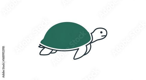 Sea turtle illustration vector drawing of turtle graphic ocean animal reptile wildlife aquatic nature icon art
