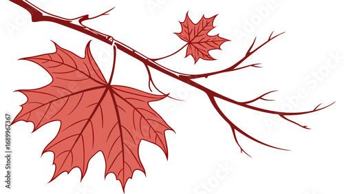 Stylized Autumn Maple Leaves on a Bare Branch Vector Illustration. Fall Season Nature Graphic Element.