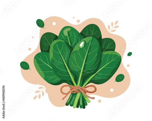 Fresh Bunch of Spinach Vibrant Green Leaves Tied with a Natural Twine