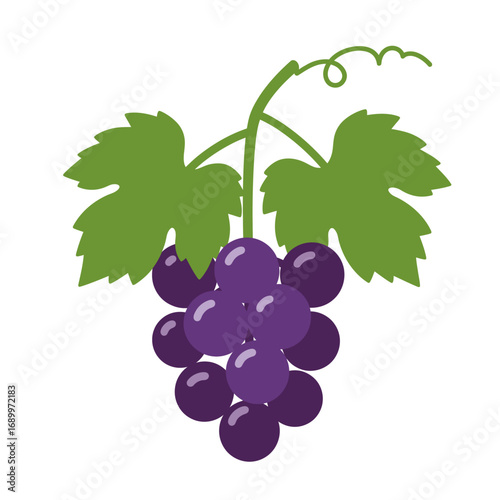 A bunch of purple grapes with green leaves, illustrating a fruit commonly used in food and drinks.