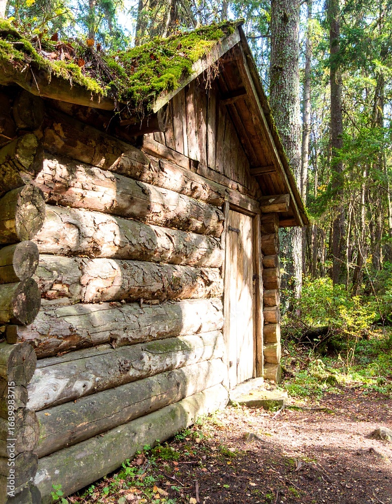 Naklejka premium Rustic log cabin nestled in woods