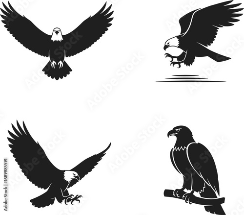 Collection of four bald eagle silhouettes in different poses, showcasing majestic birds of prey