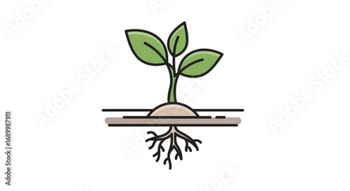 A sprouting plant with roots, symbolizing growth, nature, sustainability, and the interconnectedness of life