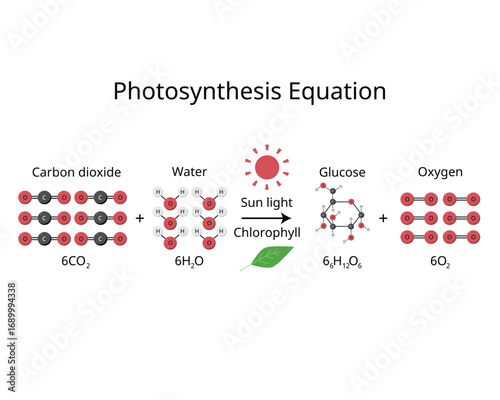 Photosynthesis Equation formula for Carbon Dioxide, Water, Glucose, and Oxygen