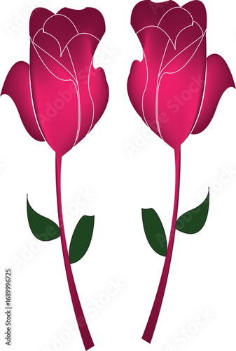 Pink rose,Flower ,tulip,nature love, sigh of love and peace