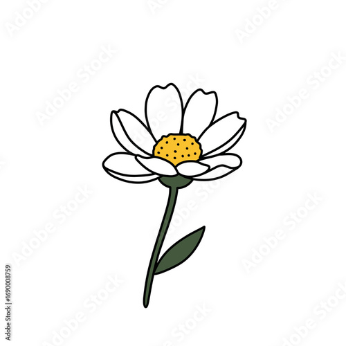 A simple illustration of a daisy flower with white petals, yellow center, and green stem.