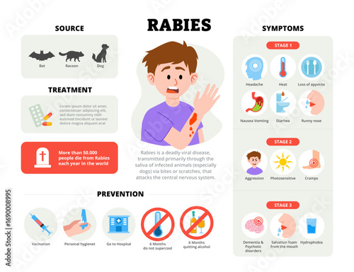 Rabies infographic design with man character. Vector poster template showing causes, symptoms, treatment, and prevention for medical education, healthcare awareness, chart illustration banner.