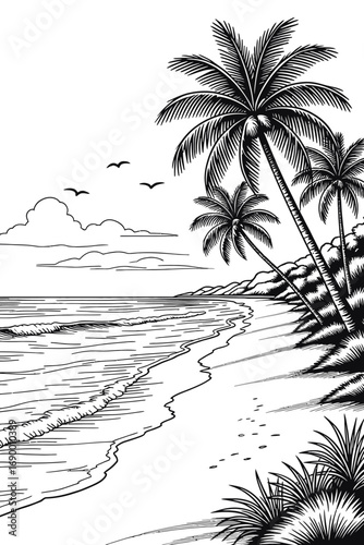 palm tree silhouette