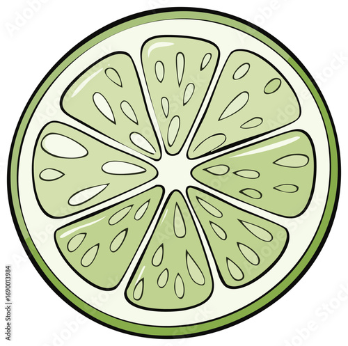Green citrus fruit slice illustration with detailed segments and rind