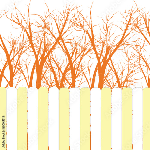 orange tree and fence