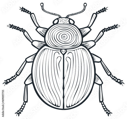 Stylized beetle illustration with decorative patterns black and white line art
