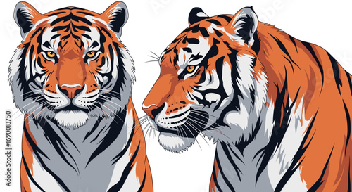Majestic wild animal big cat bengal tiger face frontal and profile view realistic illustration