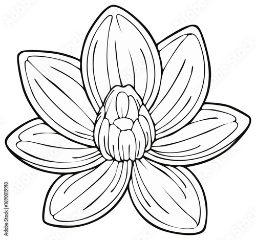Elegant outline drawing of a blooming lotus flower with detailed petals and center bud