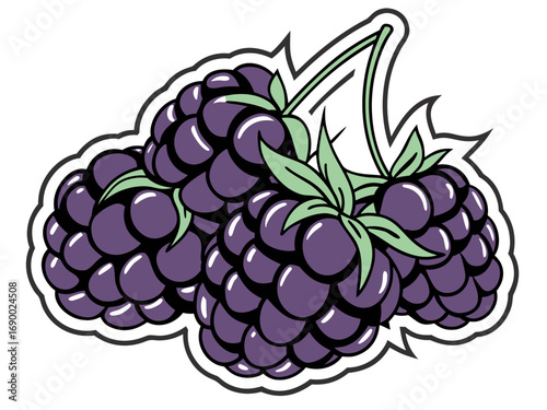 Fresh Organic Black Grapes Cartoon Illustration | Juicy Purple Bunch Fruit Drawing for Healthy Snacks and Juices
