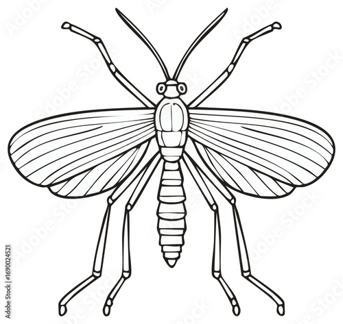 Detailed black and white line art illustration of a dragonfly with spread wings and long legs