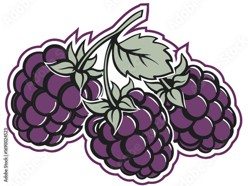 Fresh Juicy Blackberry Cartoon Illustration | Organic Dark Berry Fruit Drawing for Smoothies, Snacks, and Desserts