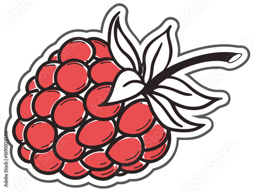 Ripe Raspberry Bunch Cartoon Drawing | Fresh Organic Red Berry Fruit Illustration for Healthy Snacks and Smoothies