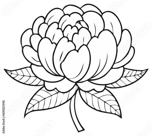 Elegant Black and White Peony Flower Illustration with Detailed Petals and Leaves for Coloring Pages and Floral Designs