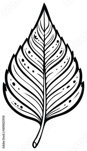 Detailed black and white line art of a stylized leaf featuring distinct veins and jagged edges, perfect for nature designs.