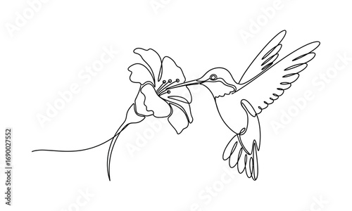A hummingbird depicted in a single continuous line drawing feeding on nectar from a lily flower design