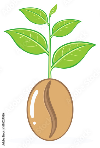 Sprouting coffee bean with fresh green leaves vector illustration showing growth and new beginnings