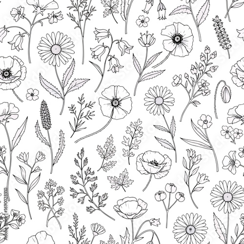 Delicate botanical pattern featuring wildflower outlines in a seamless arrangement, patern seamless, Stock royalty image.